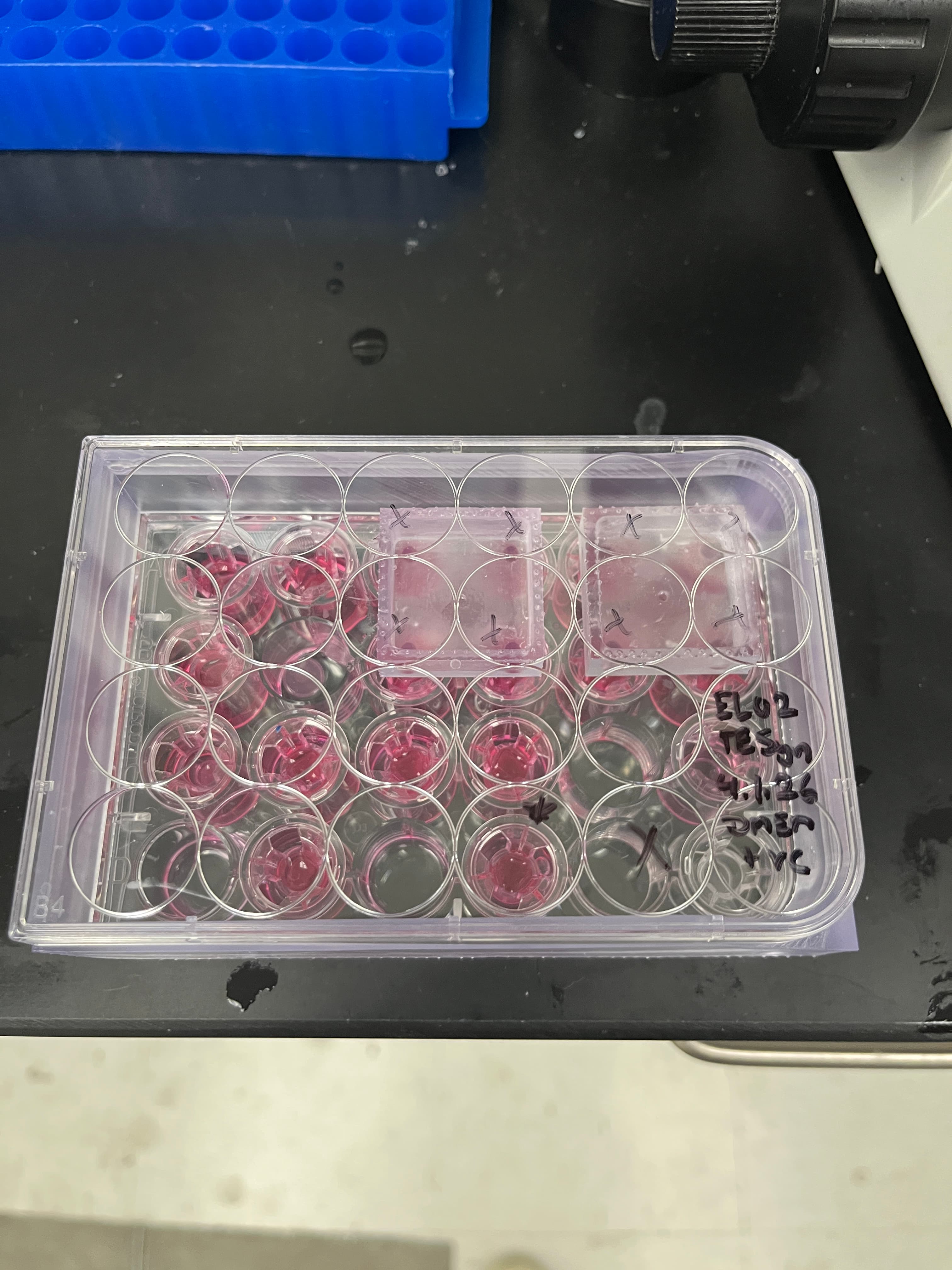 Mech Loading Bioreactor