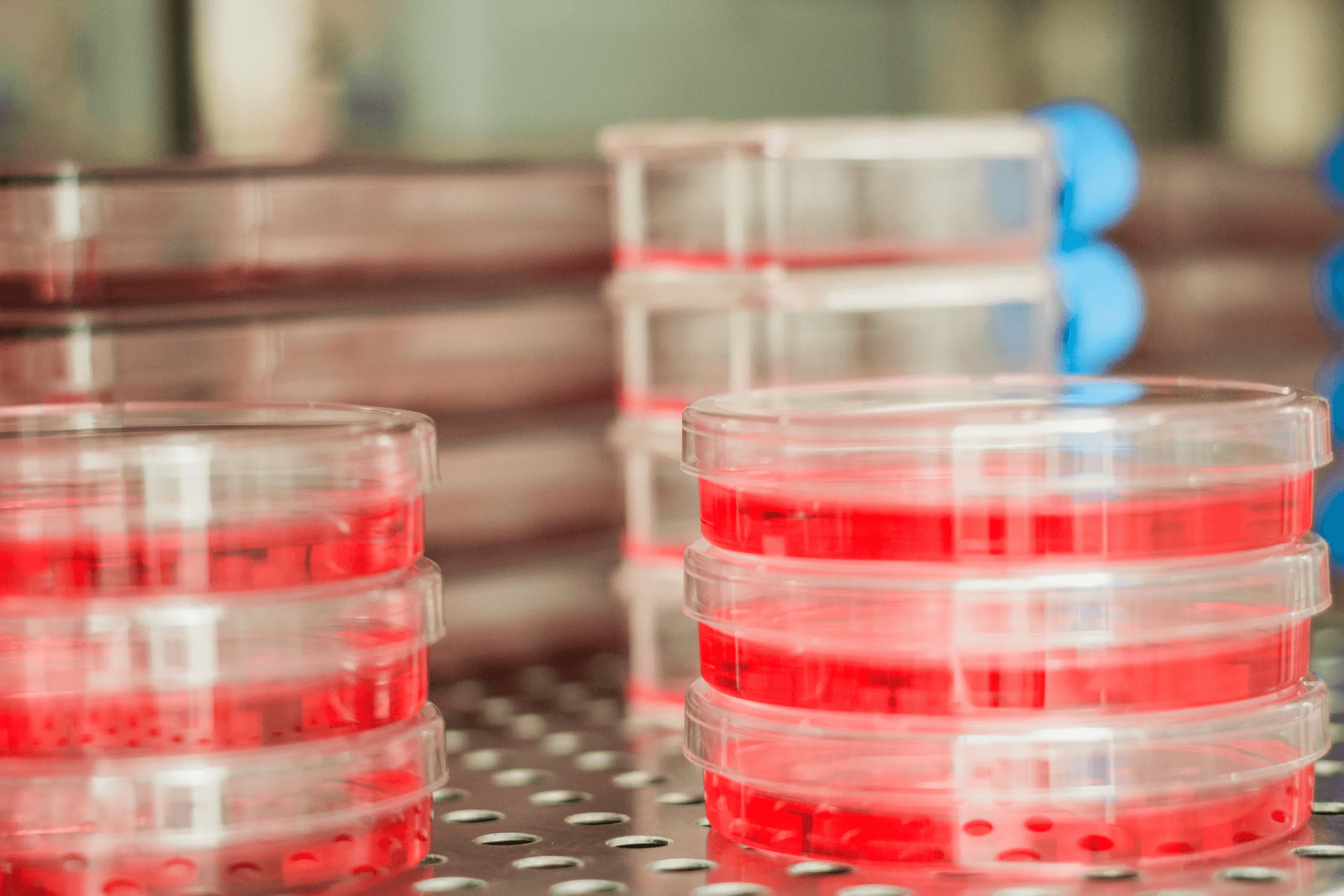 Cellular Engineering Laboratory (CEL) (Current)