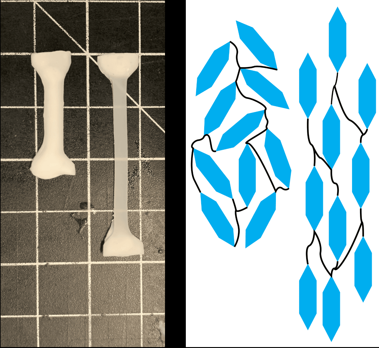 Shu Yang Group (Alumnus)